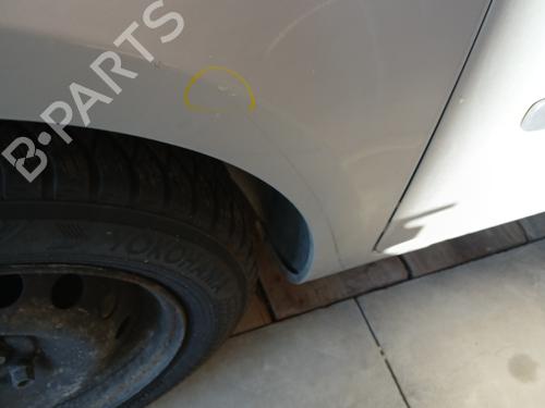 Left front fenders RENAULT CLIO III (BR0/1, CR0/1) 1.4 16V | BP29240811C41 