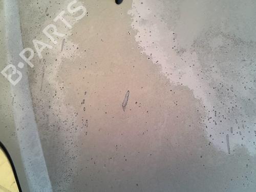 Panser Panser RENAULT SCÉNIC I MPV (JA0/1_, FA0_) 1.9 dCi (JA05, JA1F) (102 hp) 39476881 39476881