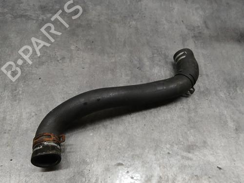 Rør RENAULT MEGANE II (BM0/1_, CM0/1_) 1.6 16V (BM0C, CM0C) (113 hp) 28126745