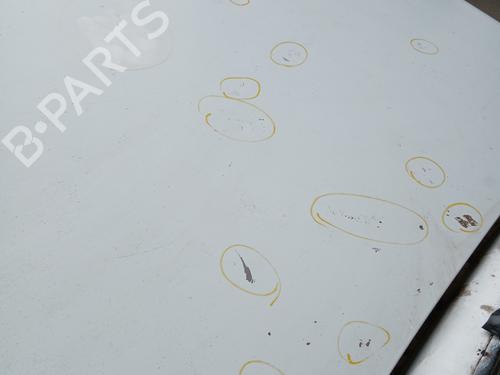 Hood RENAULT RAPID Box Body/MPV (F40_, G40_) 1.4 (F40D) | BP29528695C1 