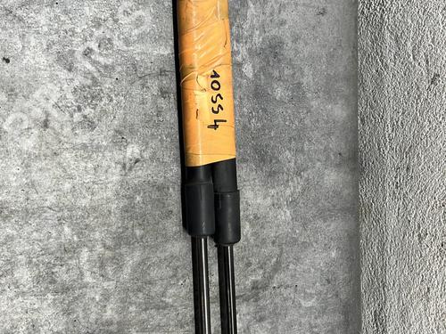 Used Tailgate lift support RENAULT MEGANE III Hatchback (BZ0/1_, B3_) 1.5 dCi (106 hp) 27406023