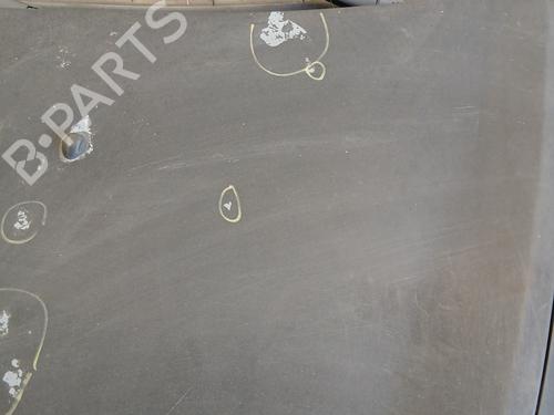 Hood RENAULT CLIO III (BR0/1, CR0/1) 1.5 dCi (BR17, CR17) | BP29307295C1 