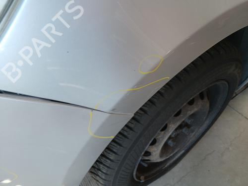 Left front fenders RENAULT CLIO III (BR0/1, CR0/1) 1.4 16V | BP29240811C41 