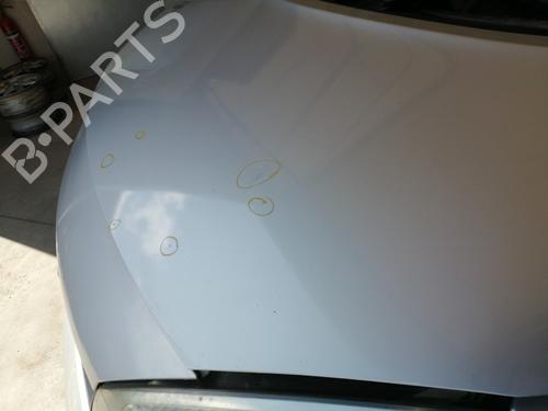 Used Hood RENAULT GRAND SCÉNIC II (JM0/1_) 1.9 dCi (JM0G, JM12, JM1G, JM2C) (120 hp) 27634516