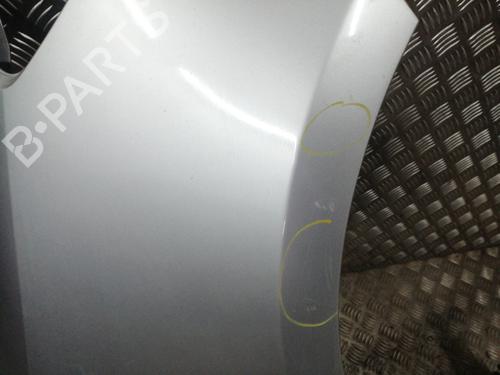 Right front fenders RENAULT CLIO III (BR0/1, CR0/1) 1.5 dCi (BR17, CR17) | BP24663812C42 