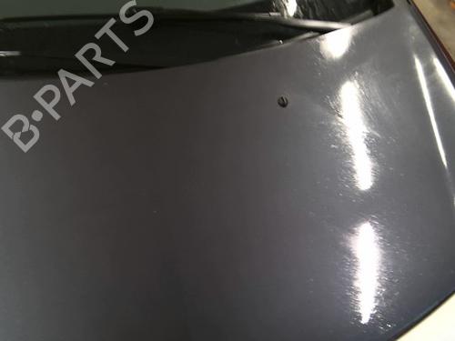 hood-renault-clio-iii-br01-cr01-2005-2006-2007-2008-2009-2010-2011-2012-2013-2014-40126691 main image