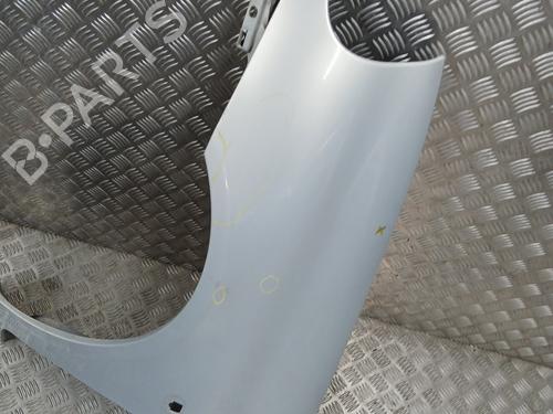 Used Left front fenders RENAULT CLIO II (BB_, CB_) 1.6 16V (BB01, BB0H, BB0T, BB14, BB1D, BB1R, BB2KL, BB3G... (107 hp) 28175679