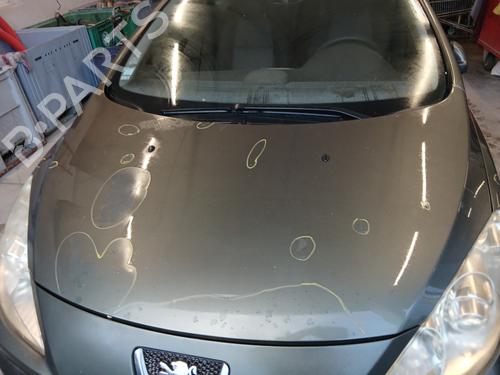 Hood PEUGEOT 307 CC (3B) 2.0 HDi 135 | BP29844868C1