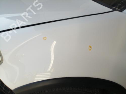 Left front fenders FIAT SEDICI (189_) 1.9 D Multijet 4x4 | BP24893000C41 