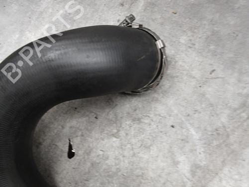 Pipe CITROËN C4 Picasso I MPV (UD_) 2.0 HDi 138 | BP32420121M125 