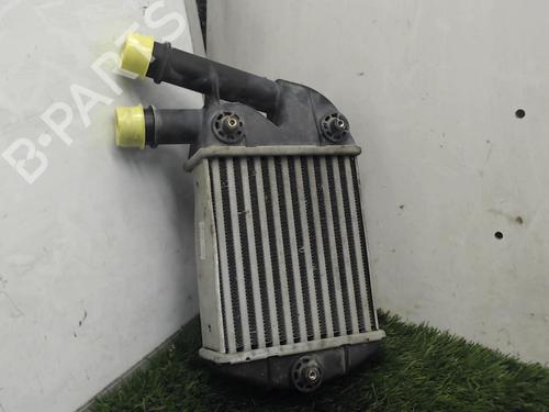 Used Intercooler Intercooler FIAT PANDA (169_) 1.3 D Multijet (169.AXC1A) (70 hp) 20887135 20887135