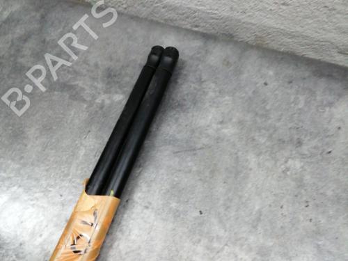 Tailgate lift support CITROËN C4 Picasso I MPV (UD_) 1.6 HDi | BP24503720C138 