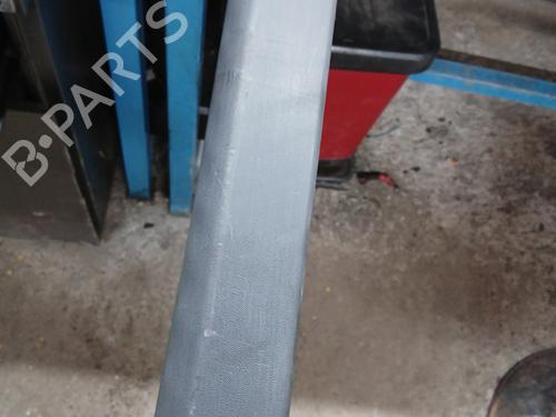 Used Door moulding trim RENAULT CLIO III (BR0/1, CR0/1) 1.5 dCi (BR17, CR17) (86 hp) 32363706