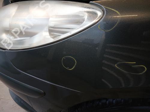 Left front fenders PEUGEOT 307 CC (3B) 2.0 HDi 135 | BP29844866C41
