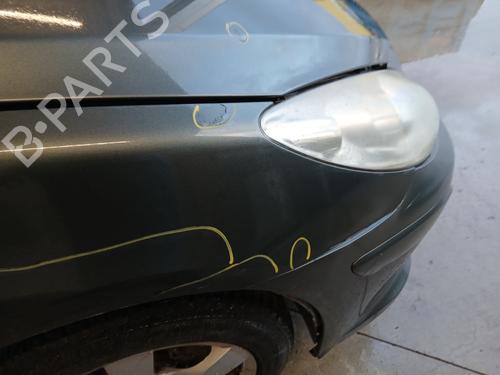 Right front fenders PEUGEOT 307 CC (3B) 2.0 HDi 135 | BP29844865C42