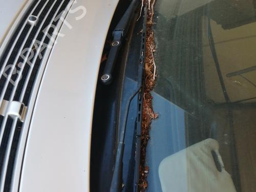 Vindrute viskerarm MERCEDES-BENZ C-CLASS (W203) C 220 CDI (203.006) 2038201944