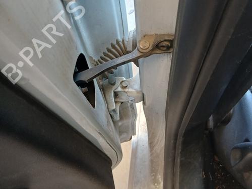 hingedoor-check-strap-citroen-c3-ii-sc_-2009-36170410 main image