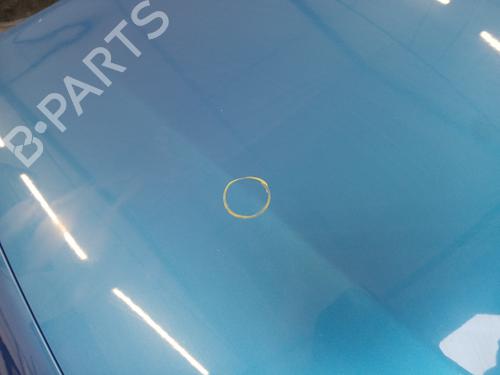 Hood DACIA SANDERO II 1.5 dCi | BP29736164C1 