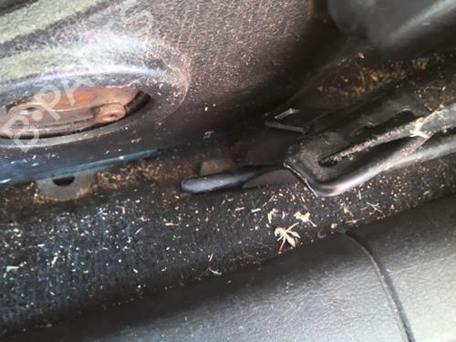 Front left seatbelt PEUGEOT 307 CC (3B) 2.0 HDi 135 | BP40603587I26 - Image 2