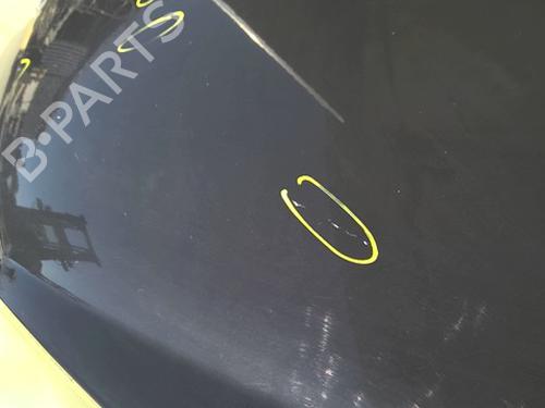 hood-peugeot-206-2l_-2m_-2009-2010-2011-2012-2013-39979852 main image