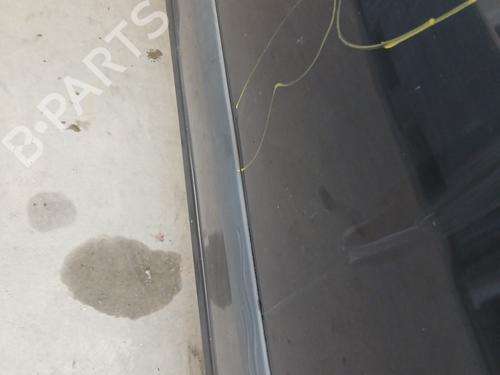 Right front door RENAULT MODUS / GRAND MODUS (F/JP0_) 1.5 dCi (FP0D, JP0D) | BP31330007C3 