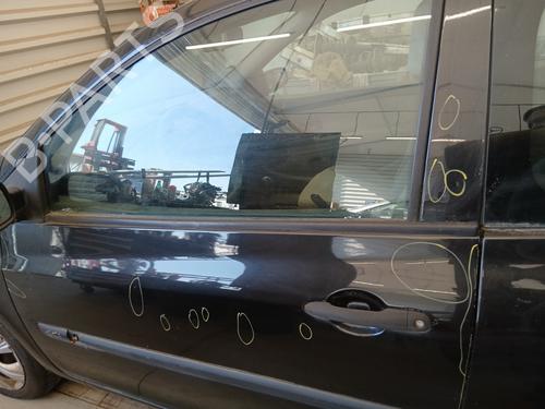 Left front door RENAULT CLIO III (BR0/1, CR0/1) 1.5 dCi (BR17, CR17) | BP29307306C2 