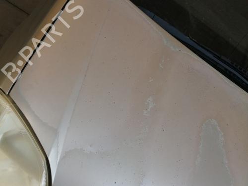 Hood OPEL MERIVA A MPV (X03) 1.7 CDTI (E75) | BP28016614C1 
