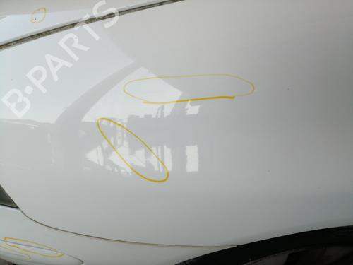 Left front fenders SEAT IBIZA III (6L1) 1.2 | BP26167627C41 