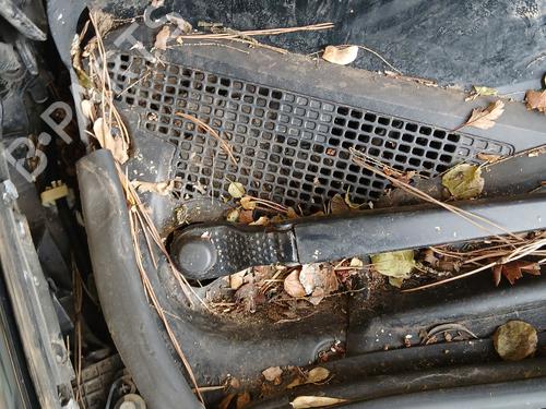 Used Front wiper motor RENAULT GRAND SCÉNIC III (JZ0/1_) 1.9 dCi (JZ0J, JZ0N, JZ1K, JZ1S) (131 hp) 30144737