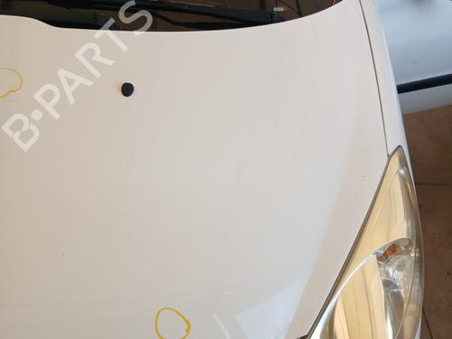 Hood PEUGEOT 206+ (2L_, 2M_) 1.4 HDi eco 70 | BP29333864C1