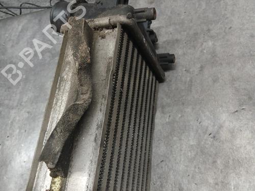 Intercooler FIAT 500 (312_) 1.3 D Multijet (312AXB1A) | BP31925862M30 - Image 5