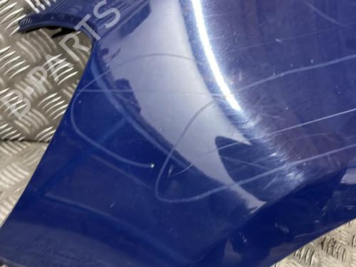 Left front fenders RENAULT CLIO III (BR0/1, CR0/1) 1.5 dCi (C/BR0G, C/BR1G) | BP29307309C41 