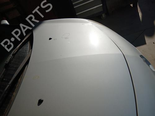 Hood RENAULT CLIO III (BR0/1, CR0/1) 1.4 16V | BP29240814C1 
