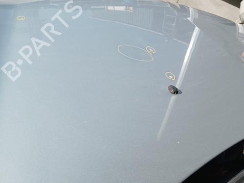 Hood RENAULT CLIO III (BR0/1, CR0/1) 1.4 16V | BP29240814C1 