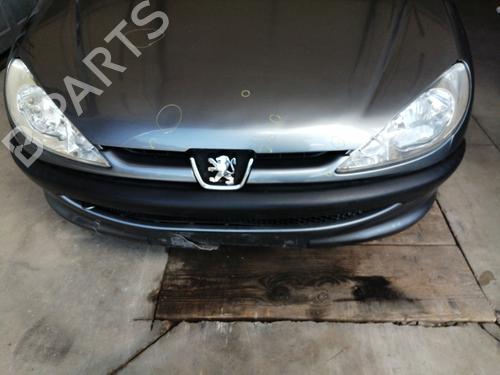 Used Grille PEUGEOT 206 Hatchback (2A/C) 1.4 i (75 hp) 27586151
