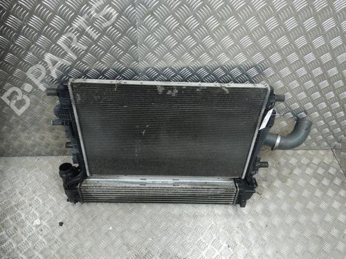 Used Water radiator RENAULT GRAND SCÉNIC III (JZ0/1_) 1.9 dCi (JZ0J, JZ0N, JZ1K, JZ1S) (131 hp) 21279031