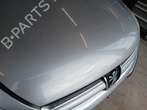 Hood PEUGEOT 607 (9D, 9U) 2.0 HDi | BP31756549C1 