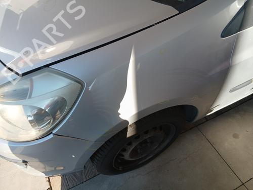 Left front fenders RENAULT CLIO III (BR0/1, CR0/1) 1.4 16V | BP29240811C41 