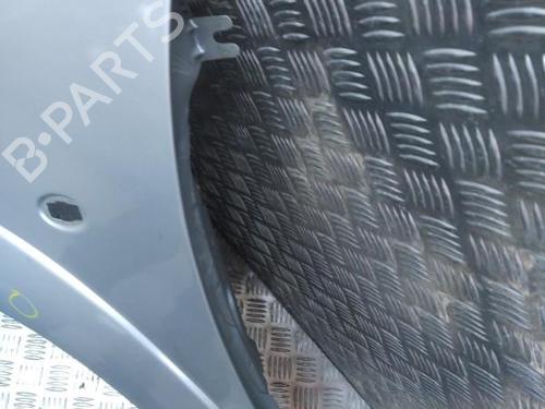 Left front fenders CITROËN C3 I (FC_, FN_) 1.4 HDi | BP21276396C41 