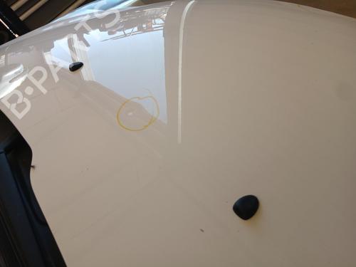 Hood PEUGEOT 206+ (2L_, 2M_) 1.4 HDi eco 70 | BP29333864C1