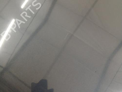 Hood RENAULT LAGUNA III (BT0/1) 2.0 dCi (BT01, BT08, BT09, BT0E, BT0K, BT12, BT1C, BT1D,... | BP32024693C1