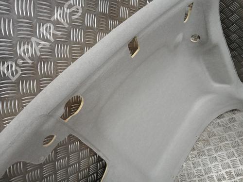 Techo interior RENAULT MASTER III Van (FV) 2.3 dCi 145 FWD (FV0E, FV0F, FV0H, FV02, FV0M, FV0S,... | BP31264449I12 