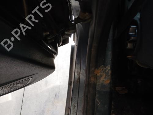 hingedoor-check-strap-ford-fiesta-vi-cb1-ccn-2008-33041751 main image