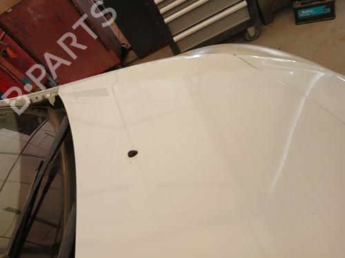 Hood RENAULT CLIO III (BR0/1, CR0/1) 1.5 dCi (C/BR0G, C/BR1G) | BP28669260C1