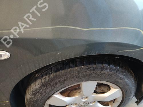 Right front fenders PEUGEOT 307 CC (3B) 2.0 HDi 135 | BP29844865C42