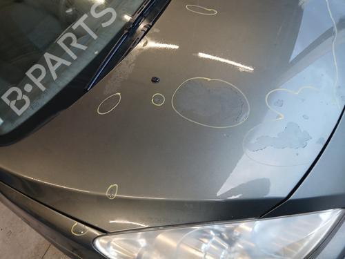 Hood PEUGEOT 307 CC (3B) 2.0 HDi 135 | BP29844868C1