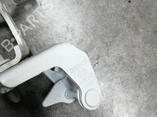Hinge/Door check strap RENAULT MEGANE IV Hatchback (B9A/M/N_) 1.5 Blue dCi 95 (B9A2, B9A6) | BP25141533C146 