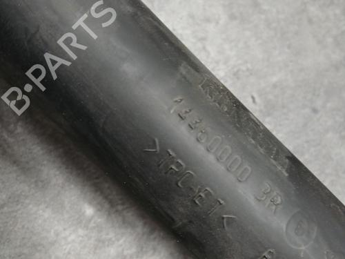 Pipe RENAULT SCÉNIC III (JZ0/1_) 1.2 TCe | BP29560766M125 