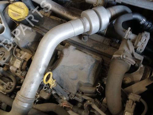 Engine RENAULT MEGANE II (BM0/1_, CM0/1_) 1.5 dCi (BM1E, CM1E) | BP31613600M1