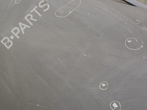 Hood RENAULT CLIO III (BR0/1, CR0/1) 1.5 dCi (BR17, CR17) | BP29307295C1 